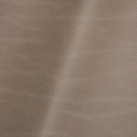 Vermouth Italian Light Taupe Natural Top Grain Protected Performance Cow Leather Hide Vermouth Italian Light Taupe Natural Top Grain Protected Performance Cow Leather Hide