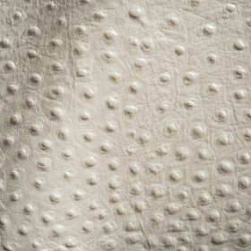 Shirley Italian Ivory Ostrich Embossed Semi-Aniline Top Grain Cow Leather Hide Shirley Italian Ivory Ostrich Embossed Semi-Aniline Top Grain Cow Leather Hide