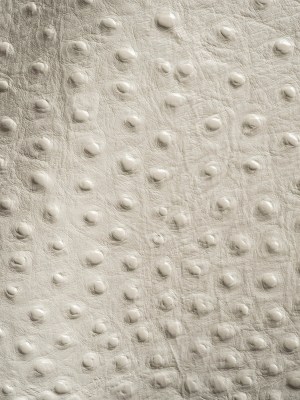 Shirley Italian Ivory Ostrich Embossed Semi-Aniline Top Grain Cow Leather Hide Shirley Italian Ivory Ostrich Embossed Semi-Aniline Top Grain Cow Leather Hide