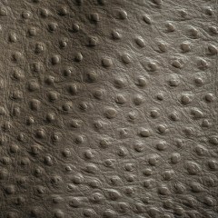 Shirley Italian Pewter Ostrich Embossed Semi-Aniline Top Grain Cow Leather Hide Shirley Italian Pewter Ostrich Embossed Semi-Aniline Top Grain Cow Leather Hide