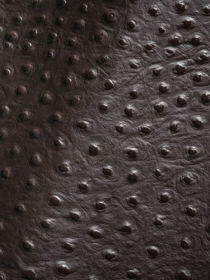 Shirley Italian Espresso Ostrich Embossed Semi-Aniline Top Grain Cow Leather Hide Shirley Italian Espresso Ostrich Embossed Semi-Aniline Top Grain Cow Leather Hide