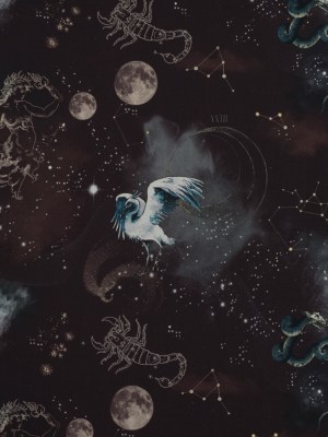 Cotton Voile – Burgundy Celestial Birds – Apollo’s Disguise Burgundy Print – Mood Exclusive Gaia Collection Cotton Voile – Burgundy Celestial Birds – Apollo’s Disguise Burgundy Print – Mood Exclusive Gaia Collection