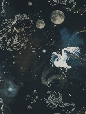 Stretch Cotton Sateen – Navy Celestial Birds – Apollo’s Disguise Print – Mood Exclusive Gaia Collection Stretch Cotton Sateen – Navy Celestial Birds – Apollo’s Disguise Print – Mood Exclusive Gaia Collection