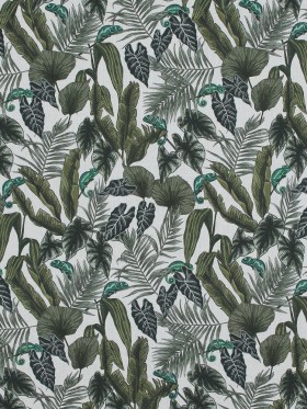 Cotton Voile – Green Foliage – Botanical Curiosity Print – Mood Exclusive Key Largo Collection Cotton Voile – Green Foliage – Botanical Curiosity Print – Mood Exclusive Key Largo Collection