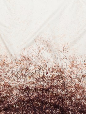 Stretch Cotton Sateen Panel – Brown Tree Branches – Celestial Canopy Print – Mood Exclusive Serengeti Collection Stretch Cotton Sateen Panel – Brown Tree Branches – Celestial Canopy Print – Mood Exclusive Serengeti Collection
