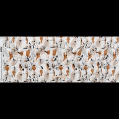 Cotton Voile – White Figure Lines – Contoured Personage Print – Mood Exclusive Serengeti Collection Cotton Voile – White Figure Lines – Contoured Personage Print – Mood Exclusive Serengeti Collection