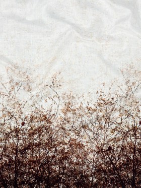 Mood Exclusive Celestial Canopy White Cotton Voile Mood Exclusive Celestial Canopy White Cotton Voile