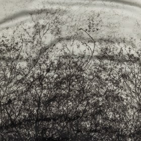 Rayon Challis Panel – Black and White Tree Branches – Old House Woods Print – Mood Exclusive Twilight Collection Rayon Challis Panel – Black and White Tree Branches – Old House Woods Print – Mood Exclusive Twilight Collection