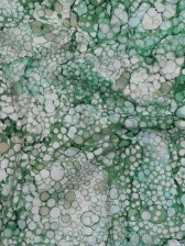 Printed Quilting Cotton by Northcott – Woodland Moss Bubbles – Bliss Collection Printed Quilting Cotton by Northcott – Woodland Moss Bubbles – Bliss Collection