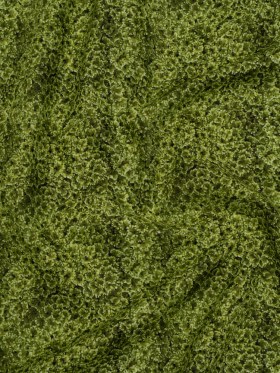Printed Quilting Cotton by Northcott Studio – Light Green Foliage – Naturescapes Collection Printed Quilting Cotton by Northcott Studio – Light Green Foliage – Naturescapes Collection