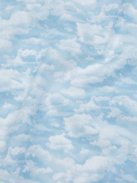 Printed Quilting Cotton by Northcott Studio – Light Blue Clouds – Naturescapes Collection Printed Quilting Cotton by Northcott Studio – Light Blue Clouds – Naturescapes Collection