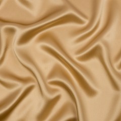 Stretch Silk Charmeuse – Latte – Premium Collection Stretch Silk Charmeuse – Latte – Premium Collection
