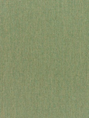 Standard Upholstery Canvas by Sunbrella – Fern Standard Upholstery Canvas by Sunbrella – Fern