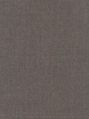 Standard Upholstery Canvas by Sunbrella – Coal Standard Upholstery Canvas by Sunbrella – Coal