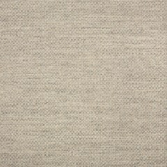 Action Upholstery Woven by Sunbrella – Ash Action Upholstery Woven by Sunbrella – Ash