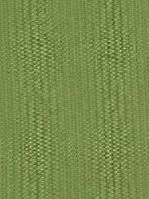 Spectrum Duo-Tone Woven by Sunbrella – Cilantro Spectrum Duo-Tone Woven by Sunbrella – Cilantro