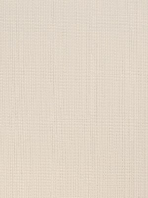 Piazza Waxed Upholstery Canvas by Sunbrella – White Piazza Waxed Upholstery Canvas by Sunbrella – White