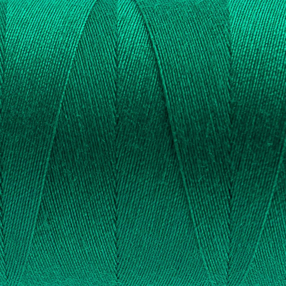 Designer™ 40wt All-Purpose Polyester Thread DS147 - Elf Green