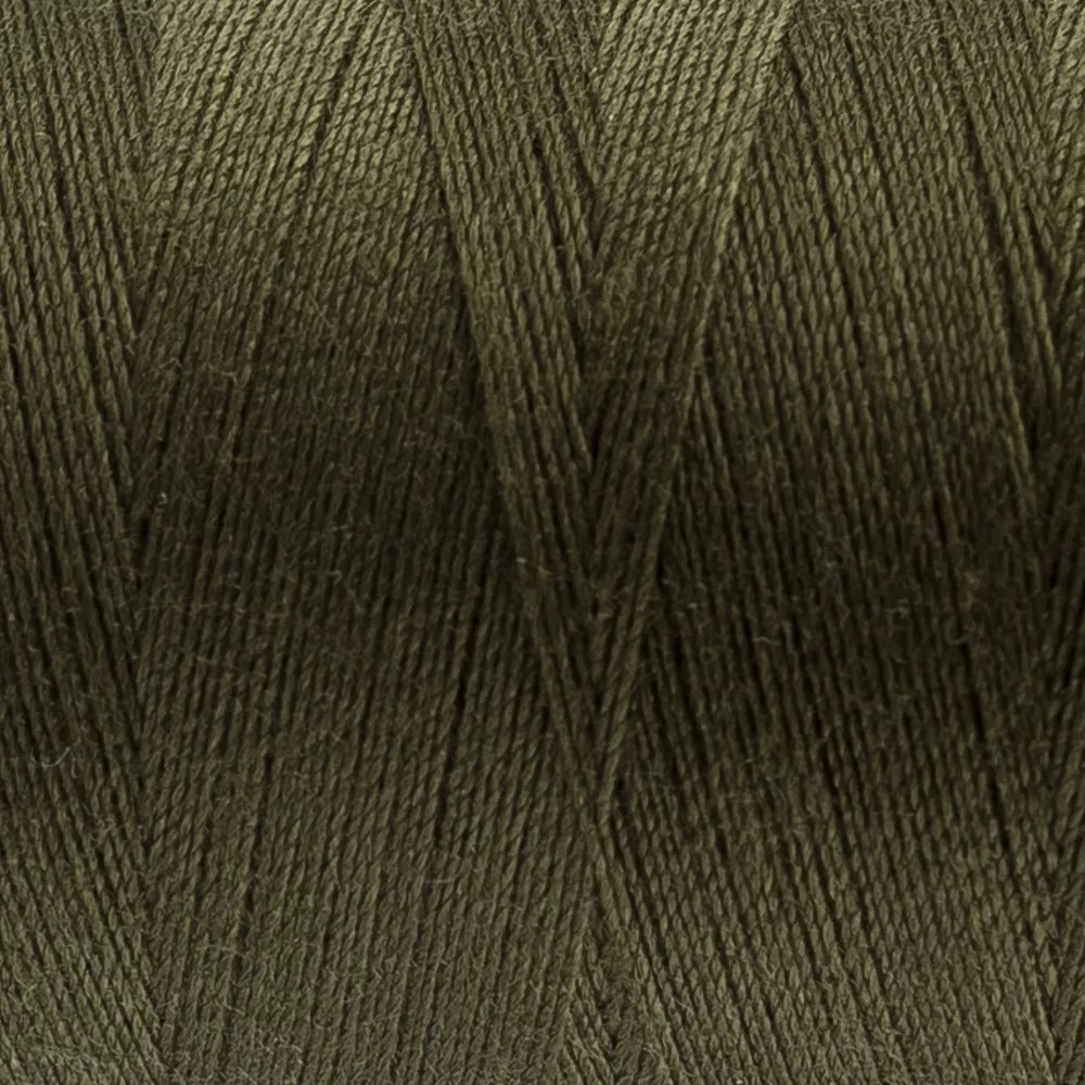 Designer™ 40wt All-Purpose Polyester Thread DS112 - Lichen