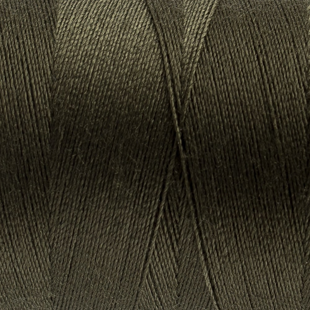 Designer™ 40wt All-Purpose Polyester Thread DS113 - Turtle Green