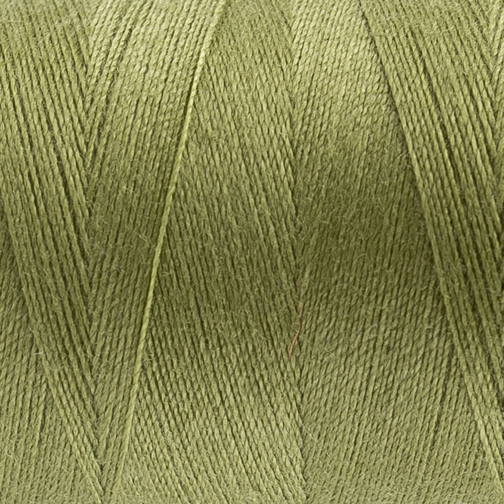 Designer™ 40wt All-Purpose Polyester Thread DS228 - Wild Willow