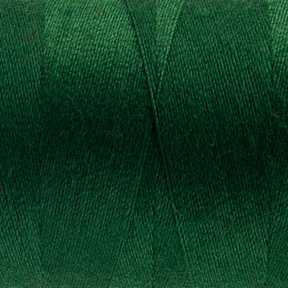 Designer™ 40wt All-Purpose Polyester Thread DS854 - Green House