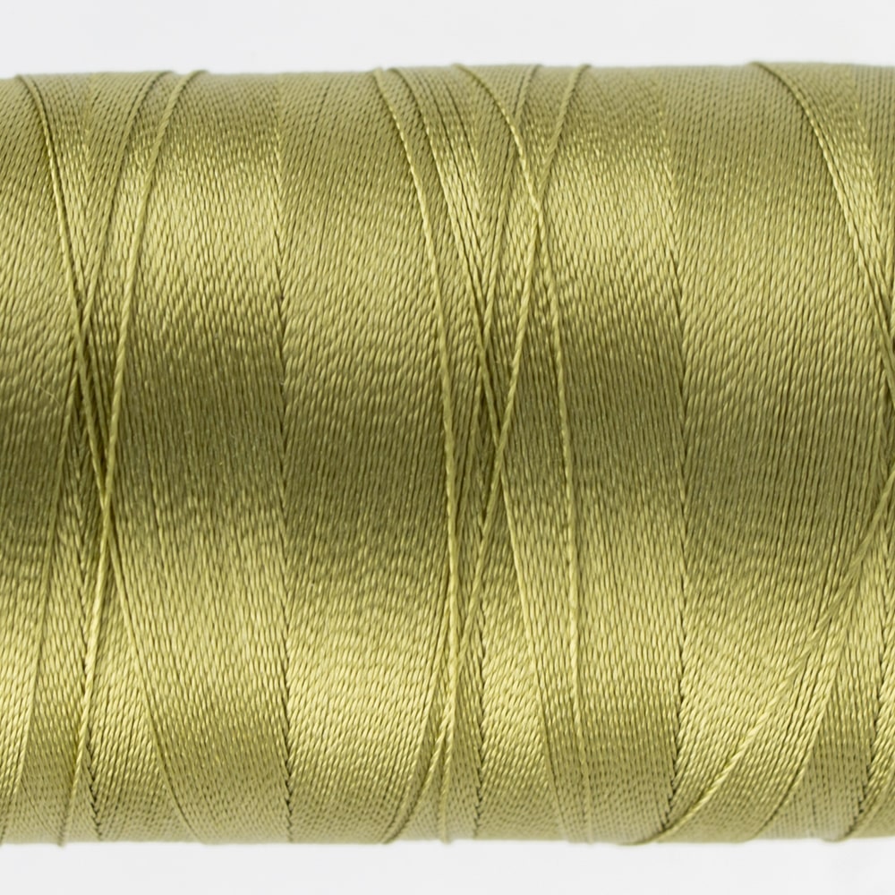 Splendor™ 40wt Rayon Thread R4101 - Willow