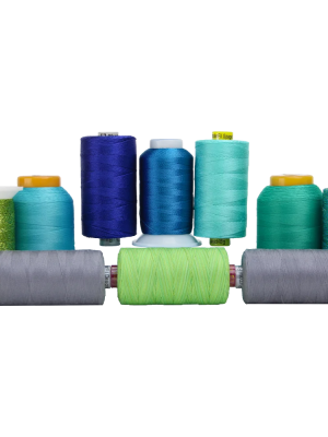 Uncategorized Serger Month Special Uncategorized Serger Month Special