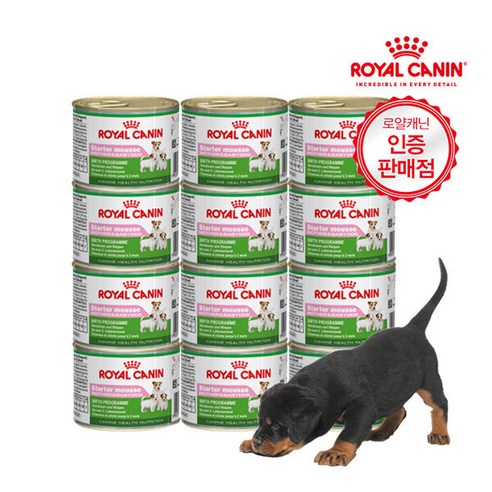 로얄캐닌 미니 스타터무스 195G 12캔 (생후 2개월 까지) 강아지 습식사료