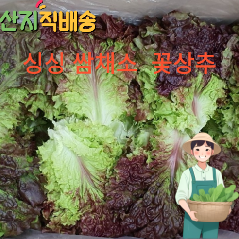 *산지직송* 당일수확 꽃상추 1kg 2kg 4kg 쌈채소 고기쌈 잎채소 상추 가정용 업소용, 1개