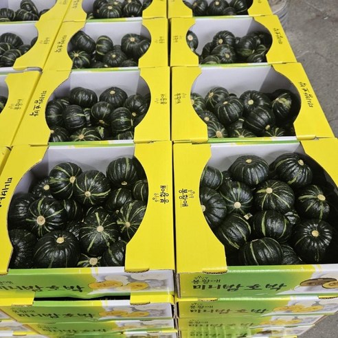 포슬포슬 미니 밤호박 단호박 1kg 보우짱 국내산