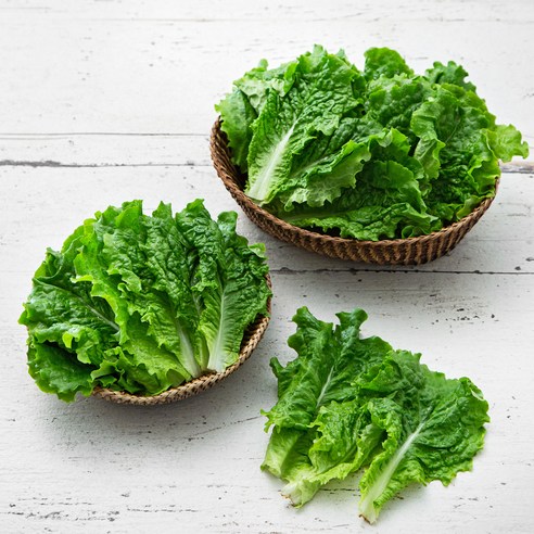 곰곰 청상추, 400g, 2봉