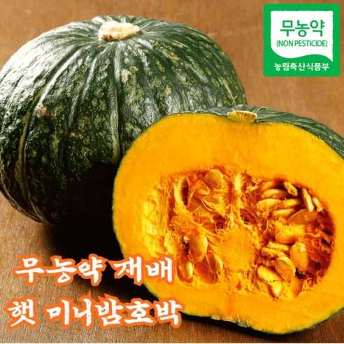 국내산특상품 백화점납품 자연재배 햇 미니밤호박, 1박스, 2kg