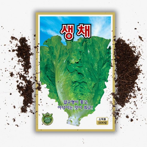 씨앗팜 웰빙 생채 상추 씨앗 종자 1500립, 1개