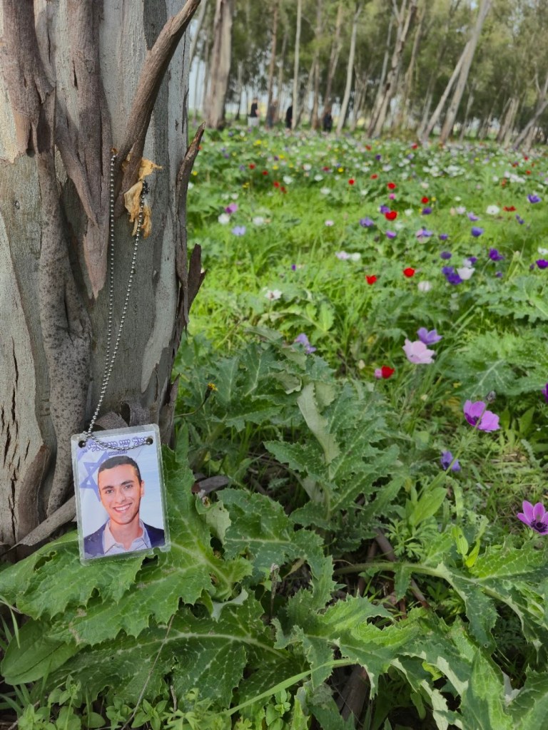 שבועיים של צמיחה, פריחה ואהבה לאורו של שי שבועיים של צמיחה, פריחה ואהבה לאורו של שי