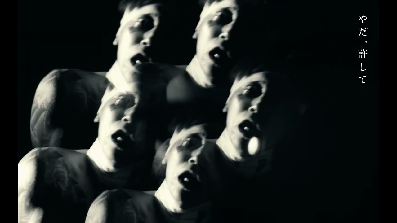 パラトラムのリーフレット パラトラムのリーフレット