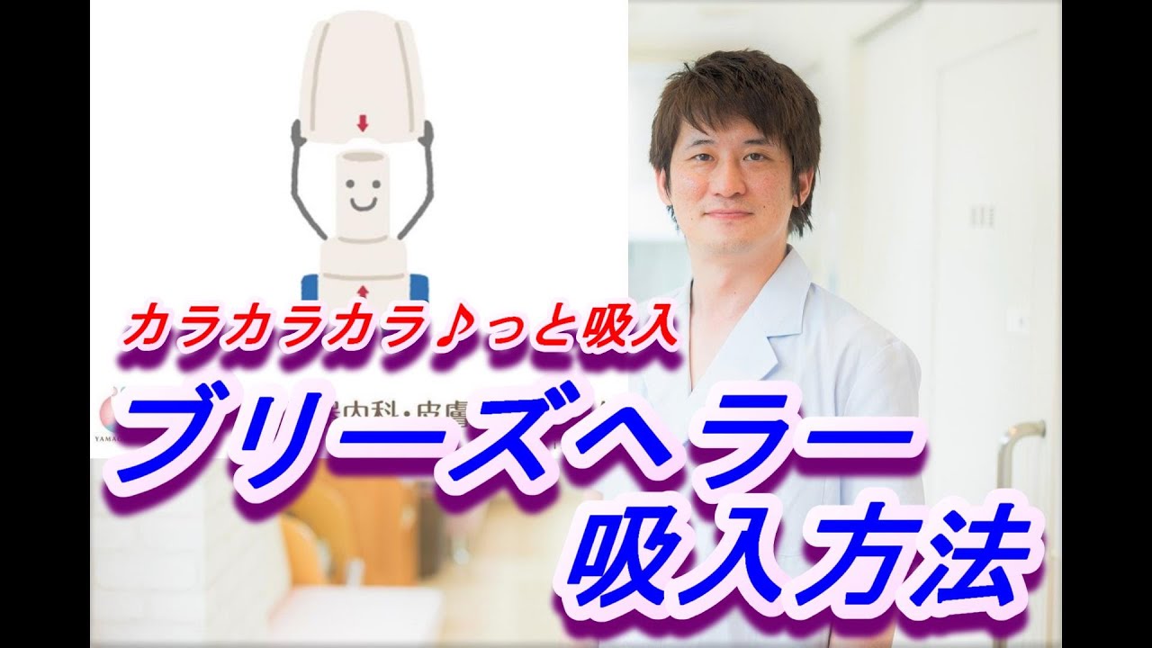 Seebriのリーフレット Seebriのリーフレット