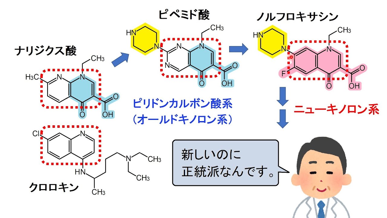 União Química のノルフロキサシンのリーフレット União Química のノルフロキサシンのリーフレット