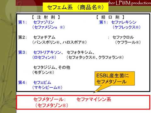 プロメタゾールのリーフレット プロメタゾールのリーフレット