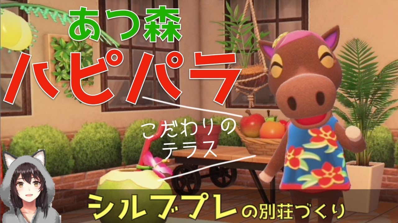 パラプシル リーフレット パラプシル リーフレット