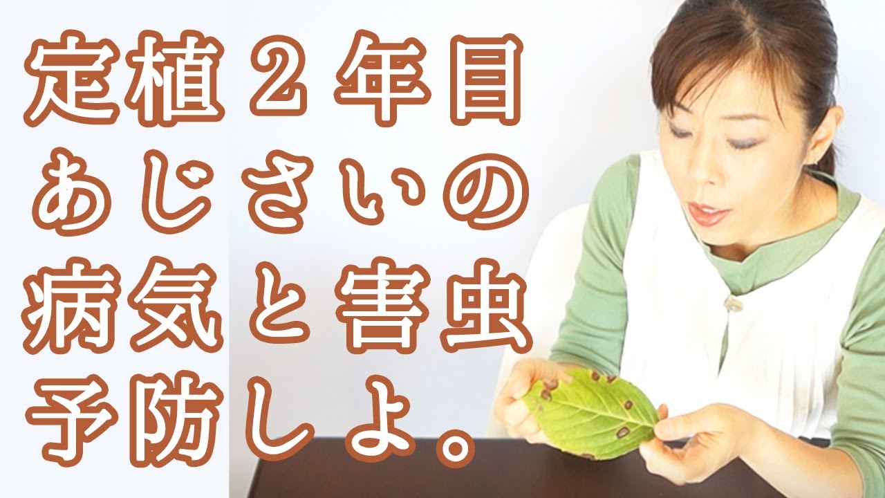 春に起こりやすい病気を知って予防しましょう! 春に起こりやすい病気を知って予防しましょう!