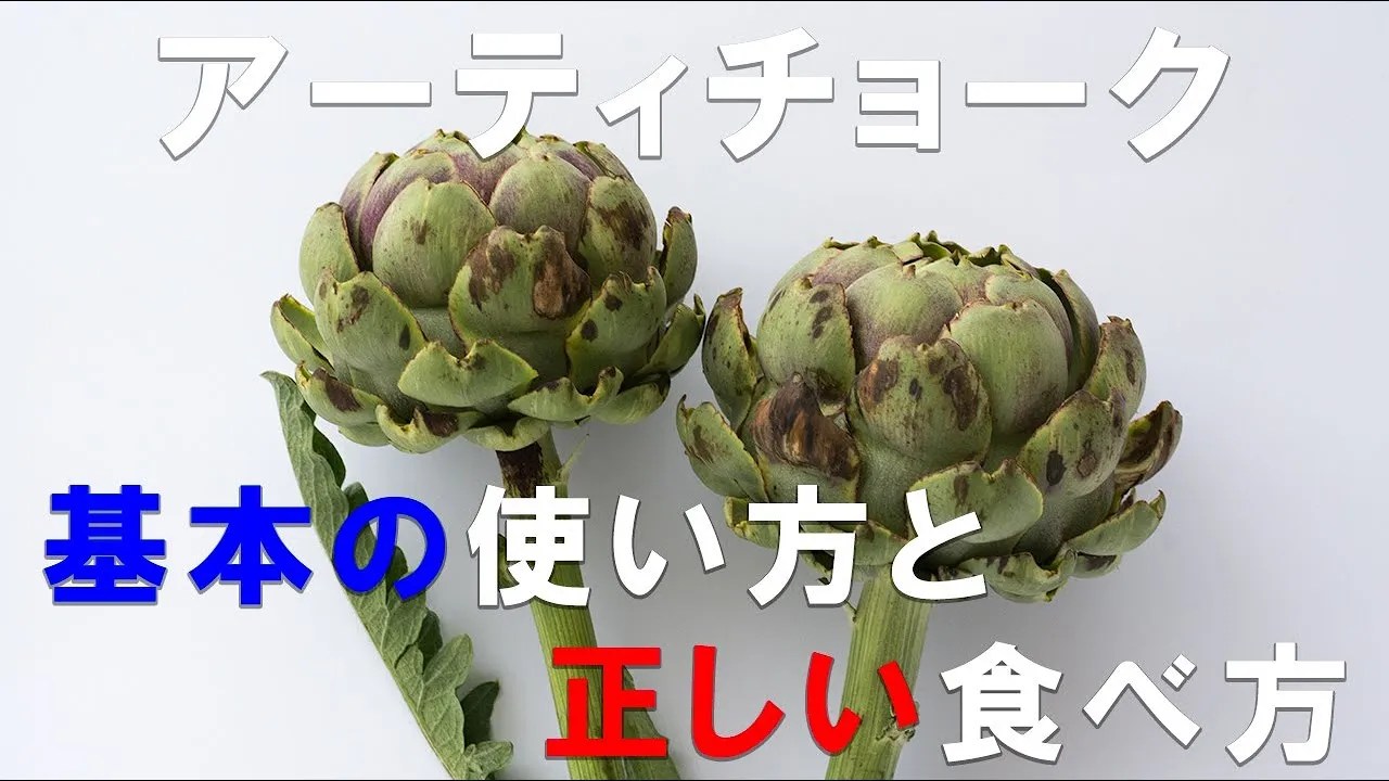 アーティチョークのリーフレット アーティチョークのリーフレット