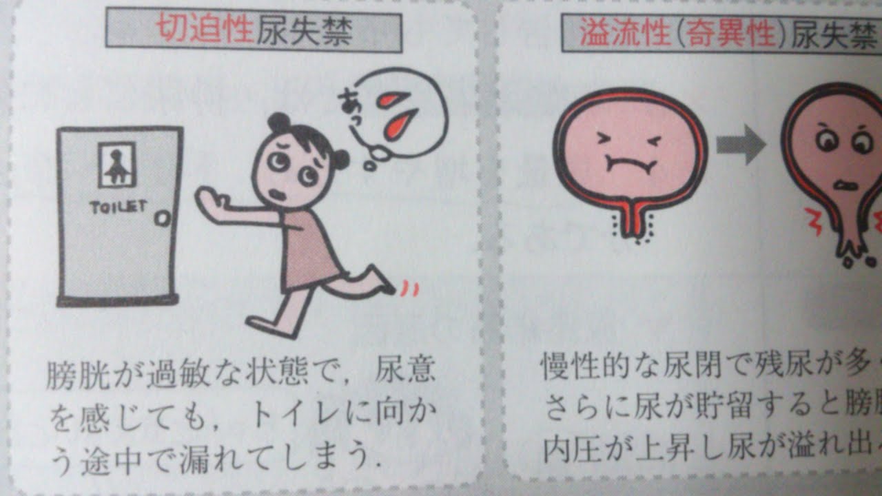 尿失禁: 健康に対するリスクを理解する 尿失禁: 健康に対するリスクを理解する