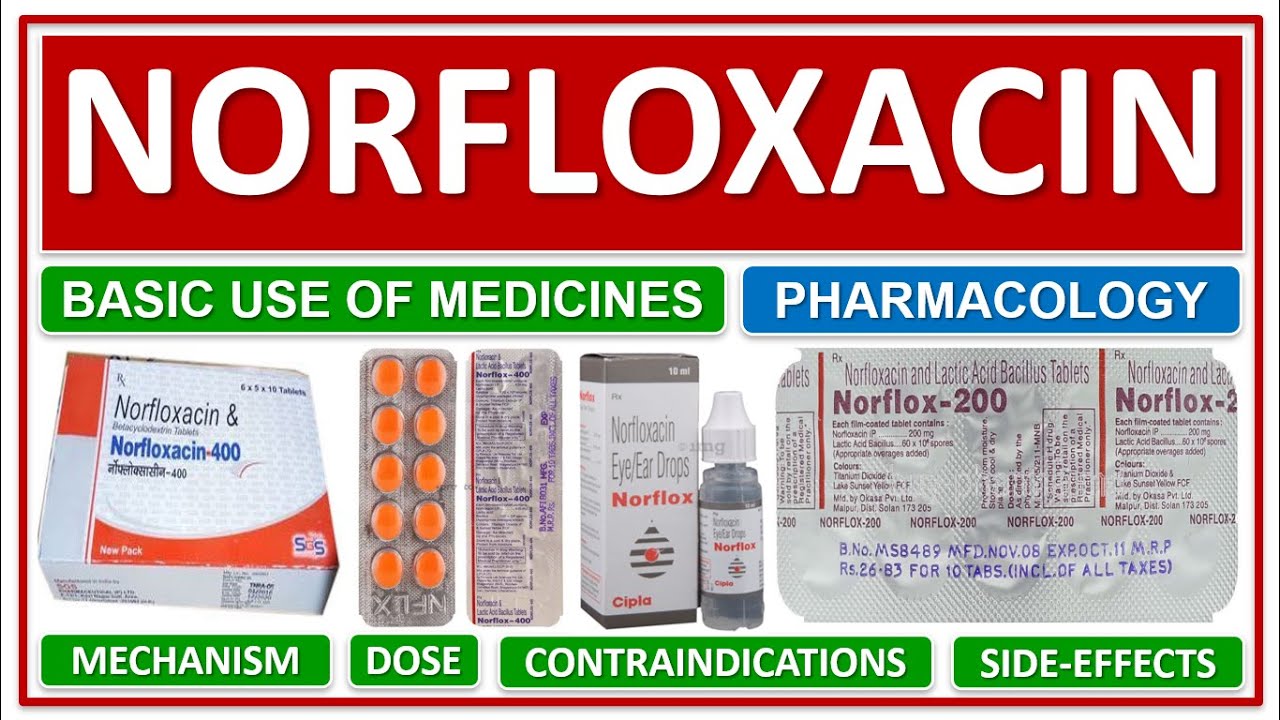 ノルフロキサシン マルチラボのリーフレット ノルフロキサシン マルチラボのリーフレット