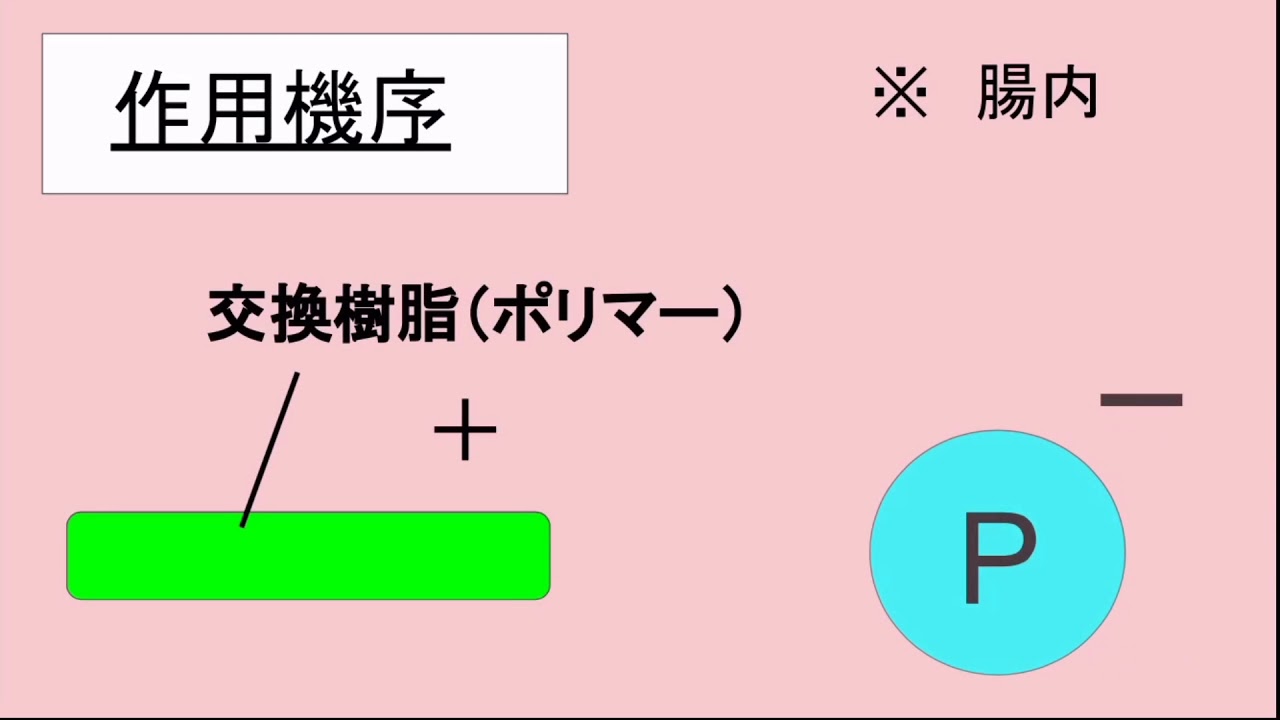 セベラマー塩酸塩EMSリーフレット セベラマー塩酸塩EMSリーフレット
