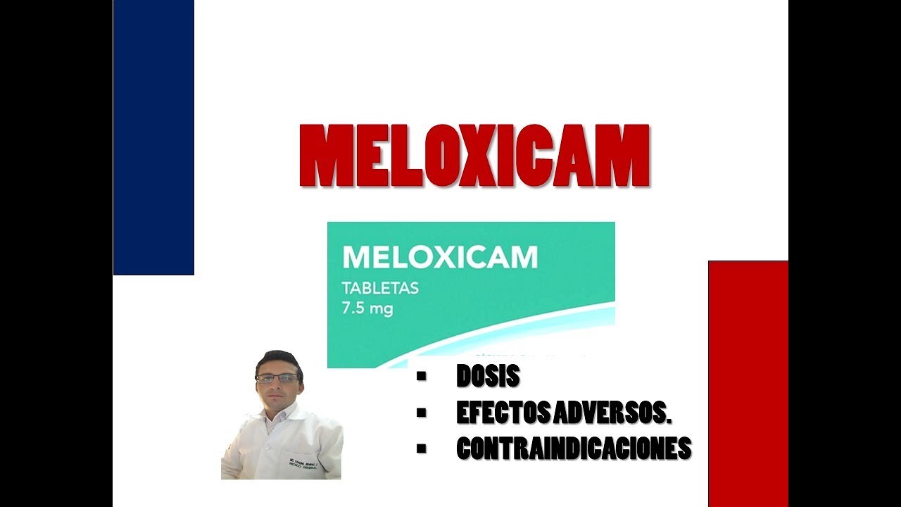 Meloxicam Nova Química リーフレット Meloxicam Nova Química リーフレット