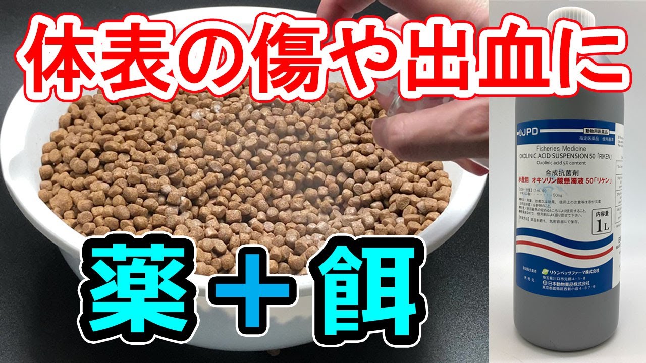 経口懸濁液のいじめ 経口懸濁液のいじめ