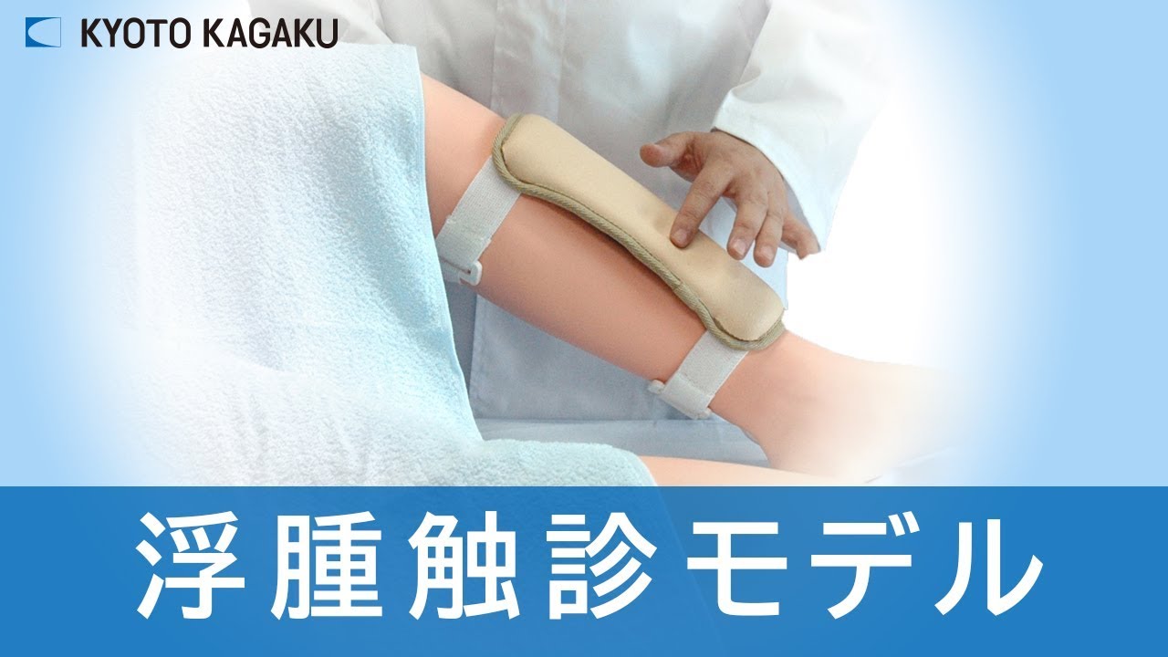 触診検査はどのように機能し、何を特定できるのでしょうか? 触診検査はどのように機能し、何を特定できるのでしょうか?