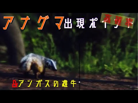 アナテンの雄牛 アナテンの雄牛