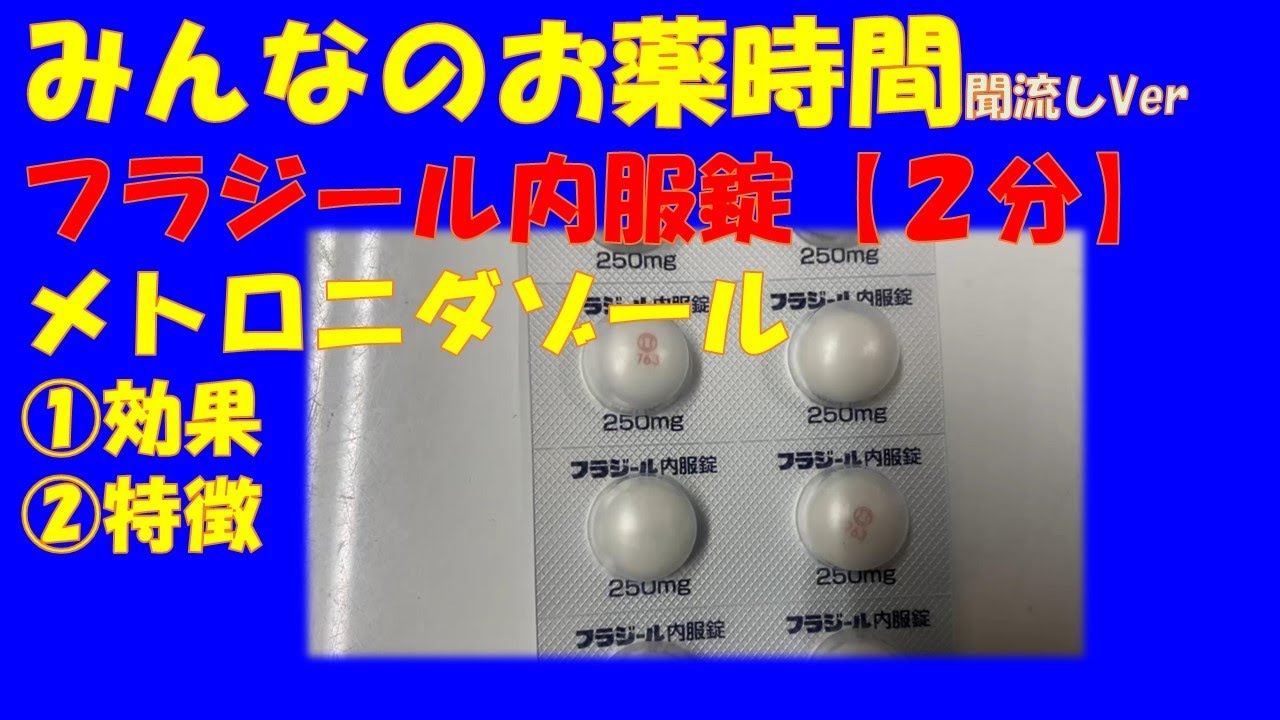 ネオメトロダゾールのリーフレット ネオメトロダゾールのリーフレット